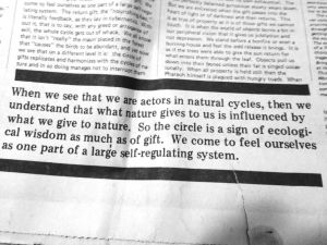 1982 vol 17, no 1. (308) fifth estate magazine