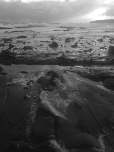 WATER TREES ROCKS (4)