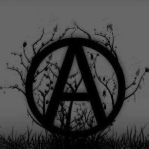 anarchy b_W