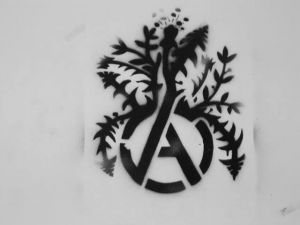 anarchy2