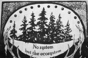 no system but the ecosystem